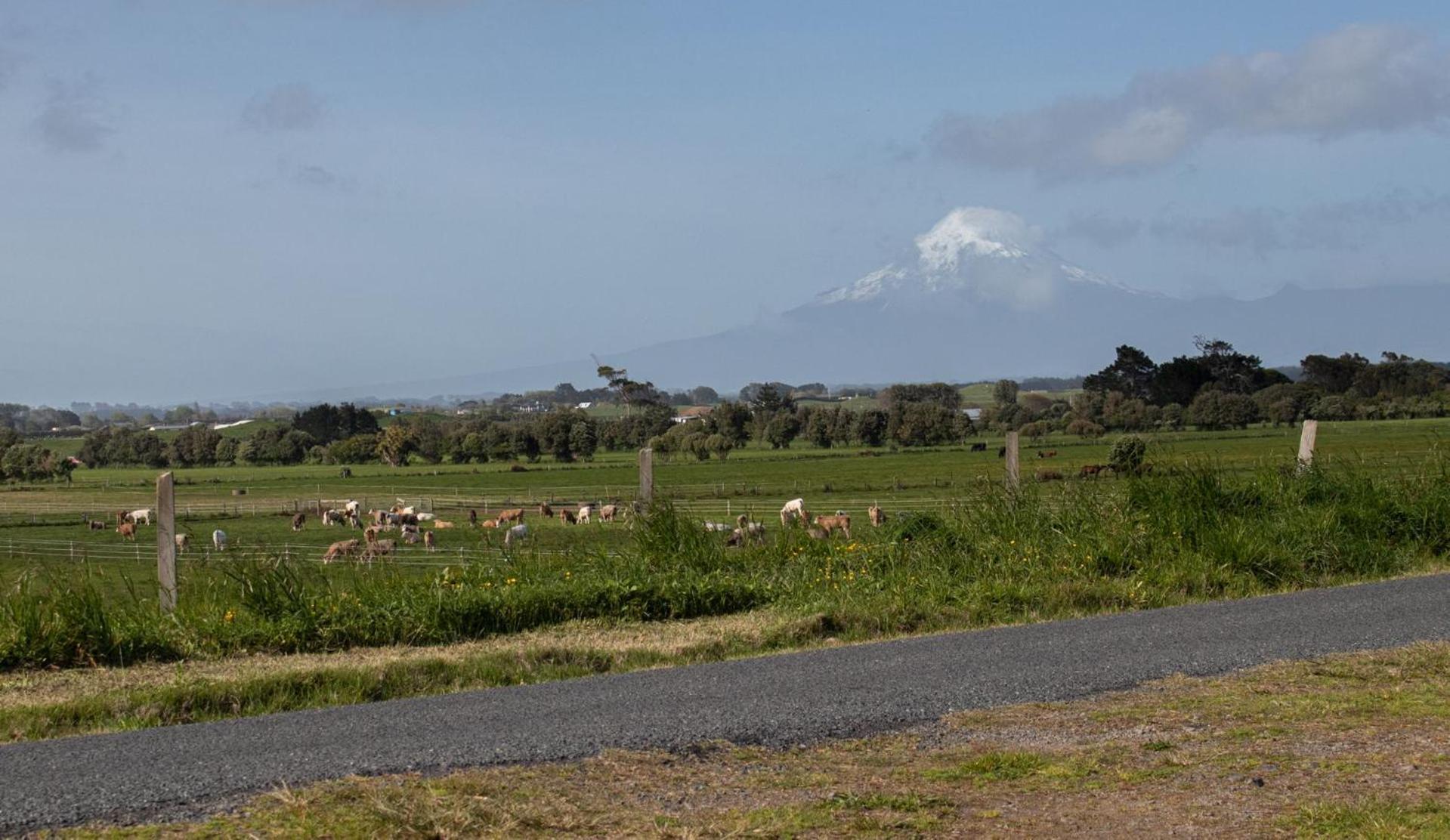 Apartmán The Flight Pad Window Seat Pet Friendly Waitara Exteriér fotografie